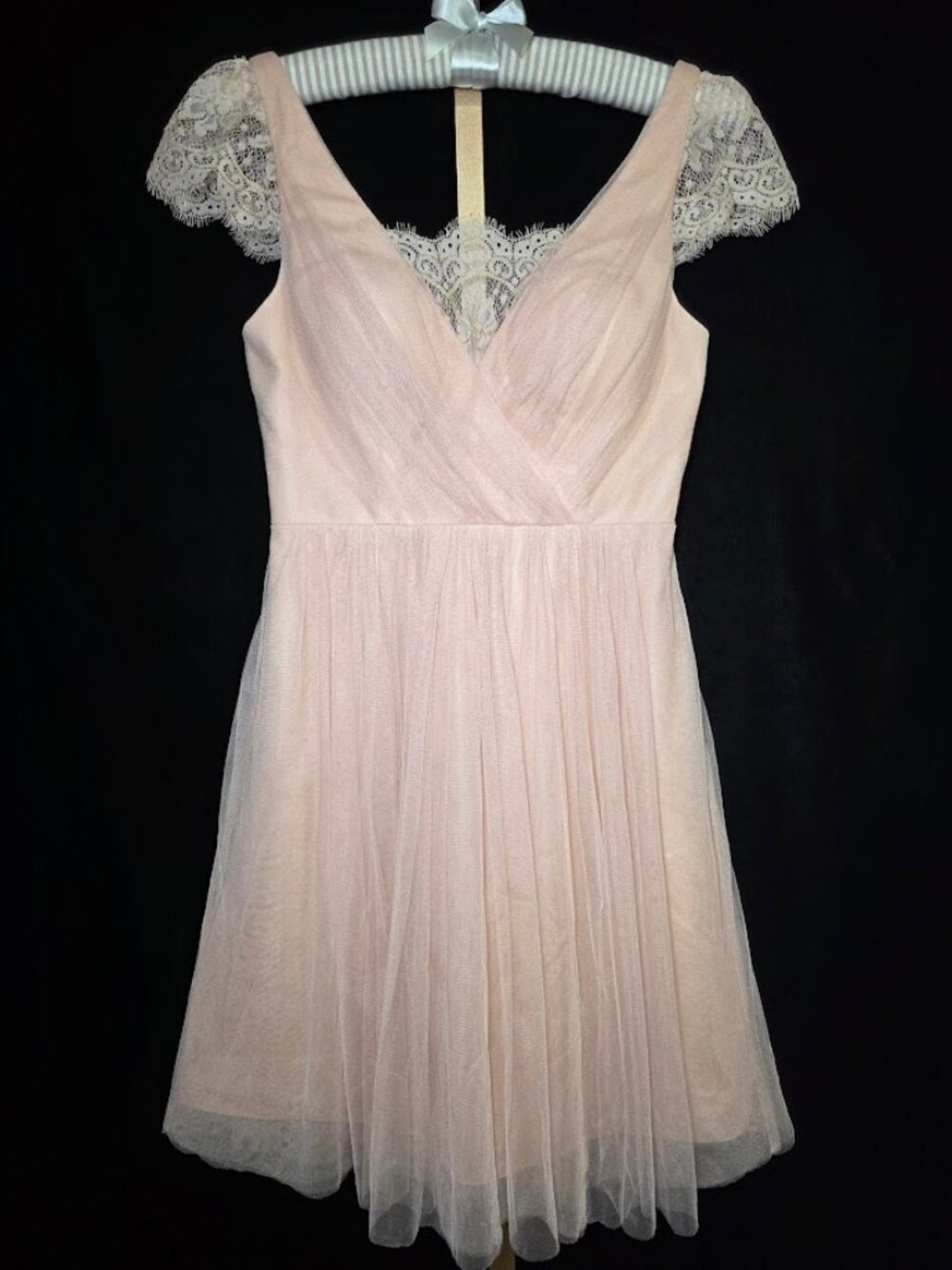 Anthropologie x Jenny Yoo Blush Pink Tulle Lace Dress 2